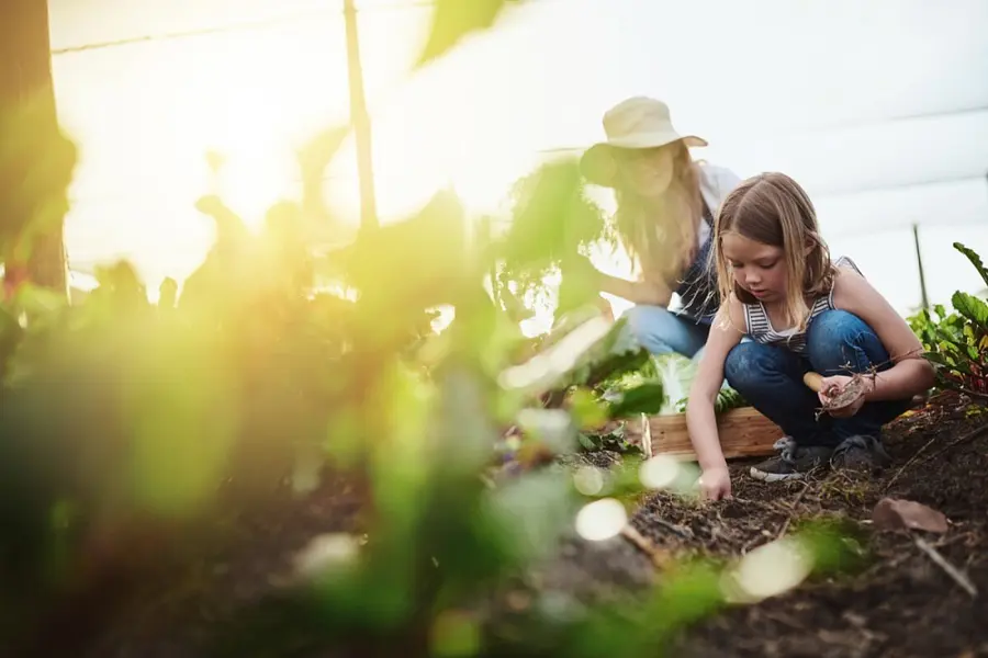 A woman and a young child kneel together in a sunlit garden, planting seeds in the soil among green plants.